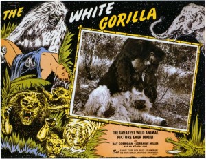 the-white-gorilla-free-movie-online